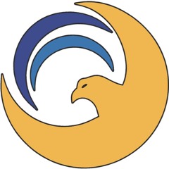 A Águia - Eliane Haas