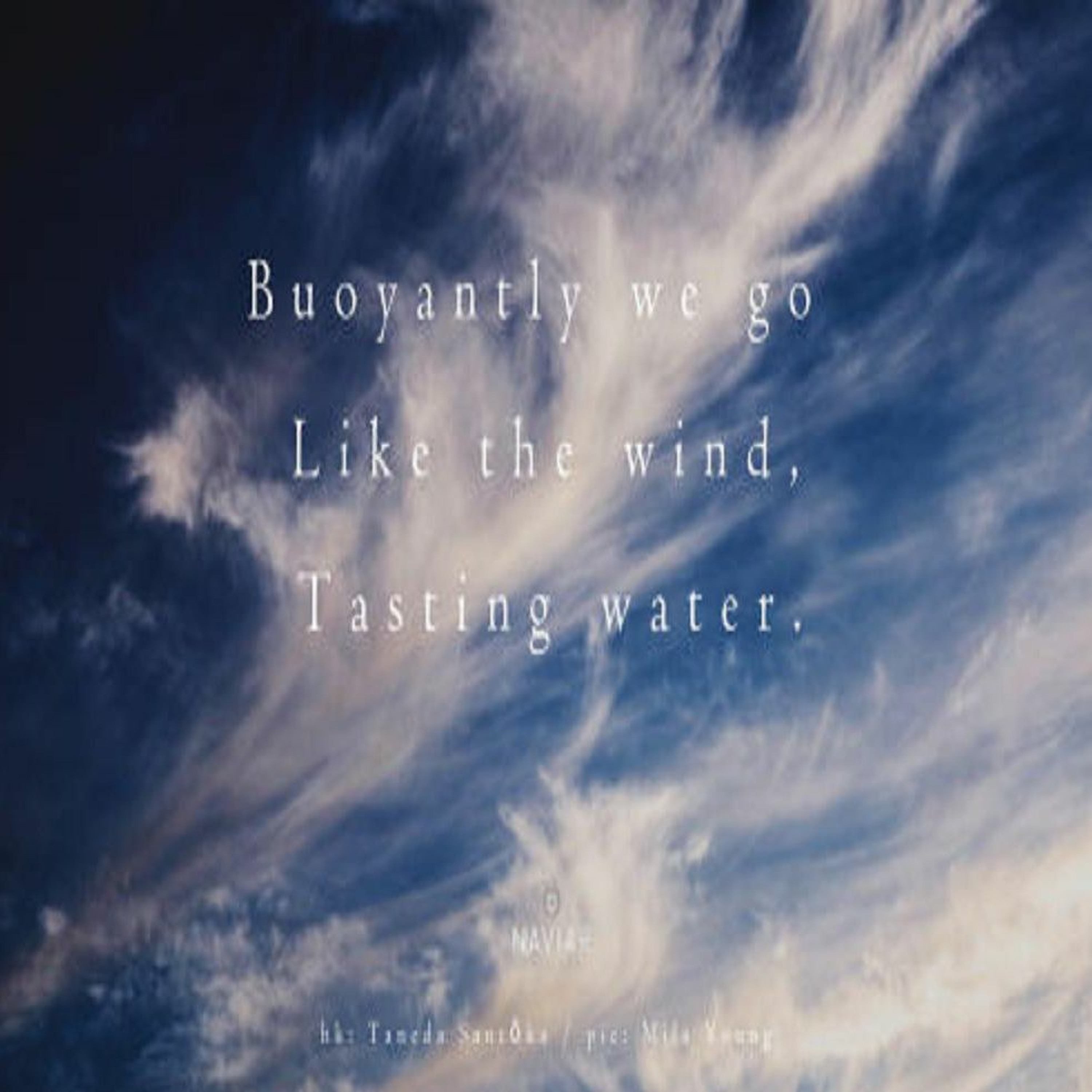 OneAmbient4 - Buoyantly We Go Like The Wind (Naviarhaiku 314) episode artwork