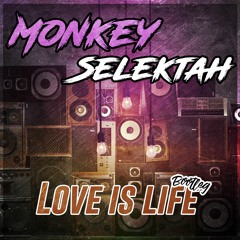 Collie Buddz - Love Is Life (Monkey Selektah Bootleg)