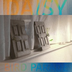 B!rd Parade - DAISY