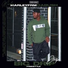 MarleyFrmDaBush - Big Drip Freestyle