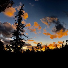 need this (prod. Lofi.Moodz)