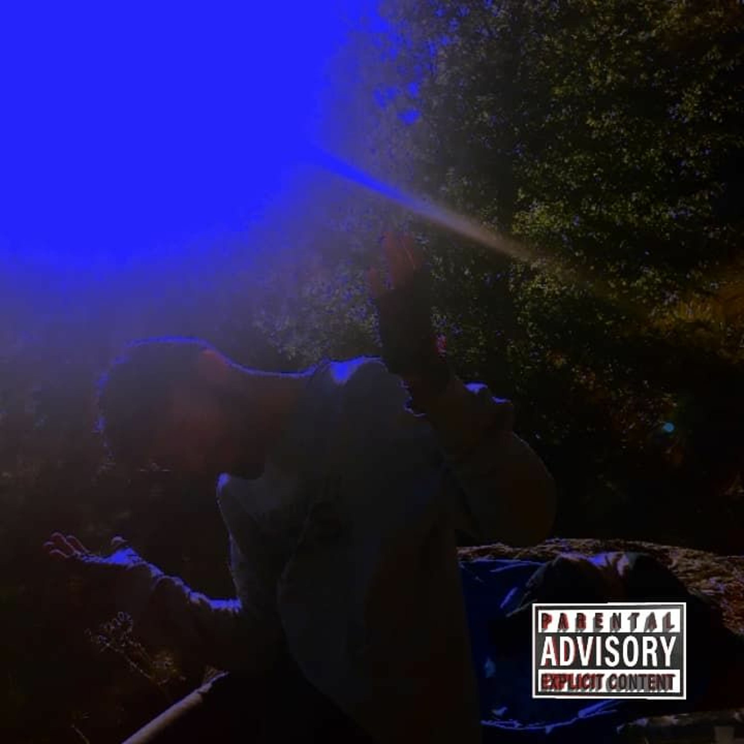 HASS LAB´S MUSIC
