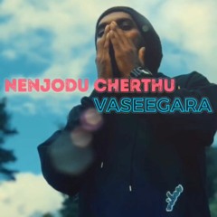 Nenjodu cherthu / vaseegara