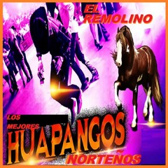 Huapangos Con Sax Mix 2020 Por DjCrazyMix
