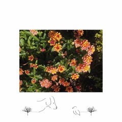 more time (prod. harvest)