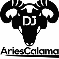 ESPECIAL MIX OLD SCHOOL DJ ARIES FULL