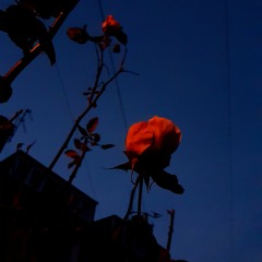 let's find an out - snail mail (slowed)