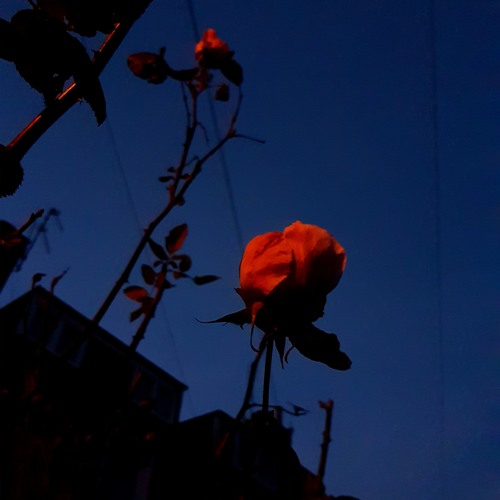 let's find an out - snail mail (slowed)