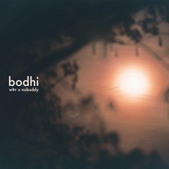 bodhi - wltv & nobuddy