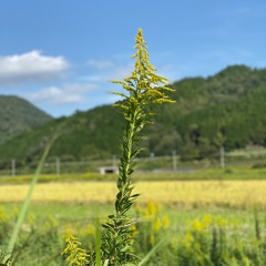 うれしい！たのしい！大好き！