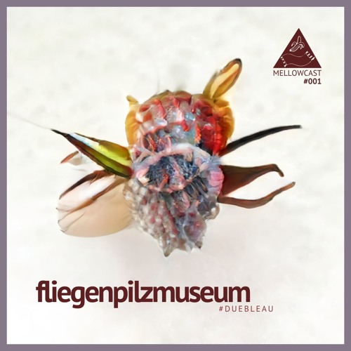 mellowcast #001 | fliegenpilzmuseum