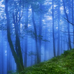 Rain Sounds for Sleeping All Night (75 Minutes)