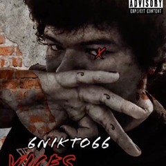 Vices - 6Nikto66  (Prod.HERTHA)  (Dead)
