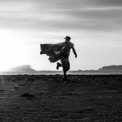 Josef Pollinator - Algorythm: Repose Jan 2020