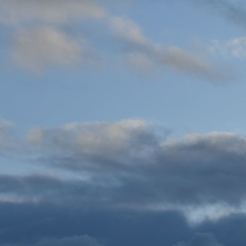 untitled_blue