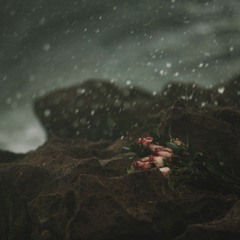 Drama) Recovery