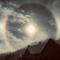 Solar - Algorythm: Repose January 2020