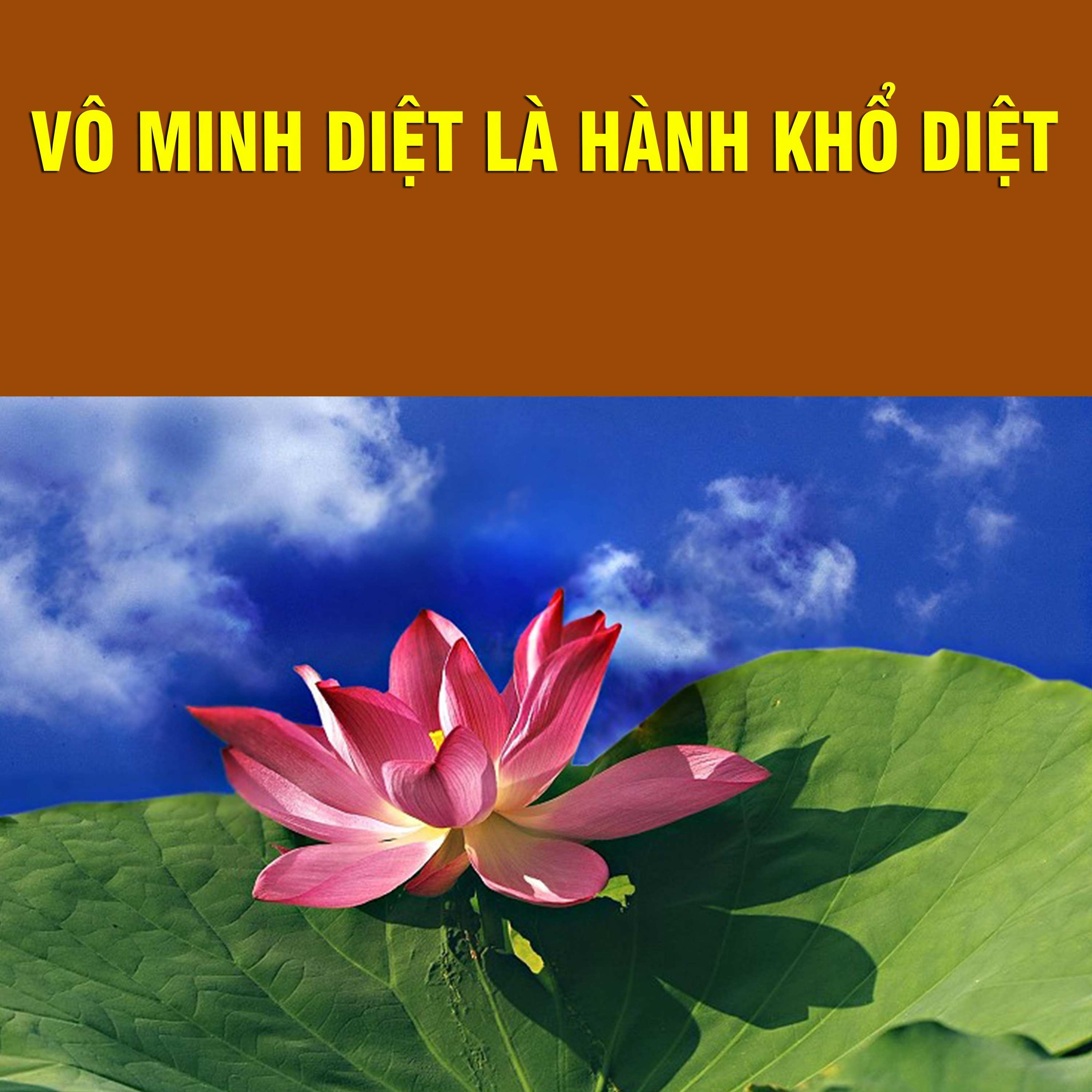 Thích Bảo Nguyên