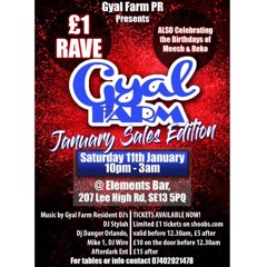Gyal Farm £1 Rave Live Audio: DJ Stylah ft. Fire Ash/Vibez King