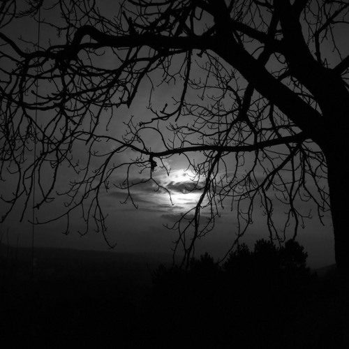 Stream Max Beats | Listen to Sad / Dark / Love | Trap Beats 2020 playlist  online for free on SoundCloud