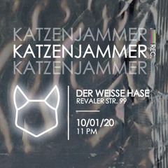 Diskokatze • Katzenjammer Records Showcase • Der Weiße Hase, Berlin (10.01.20)