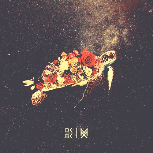 TURTLE - DIRK BUSCH [FREE DOWNLOAD]