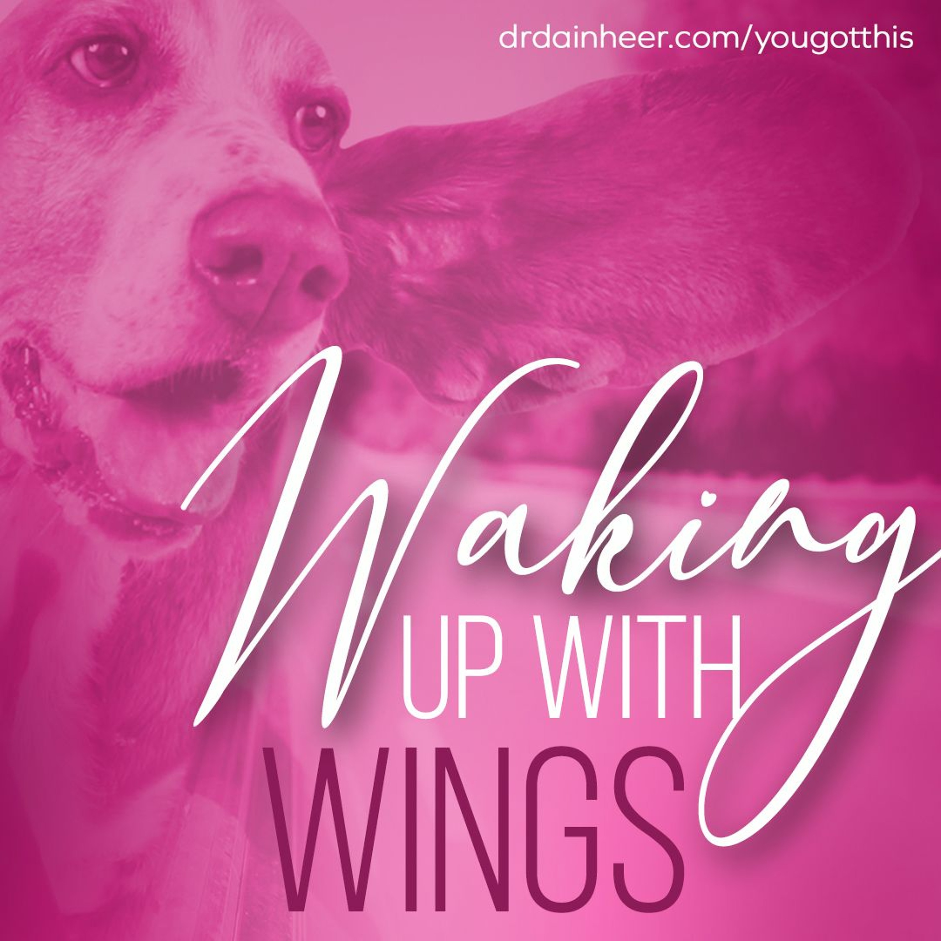 You Got This: Waking Up With Wings episode artwork
