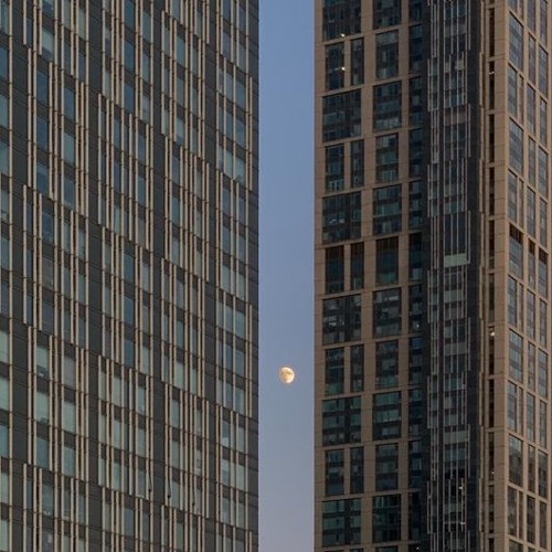 들판DEMO