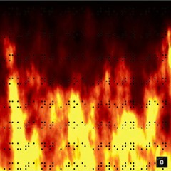BRAILLED: MUTANT JOE 2010