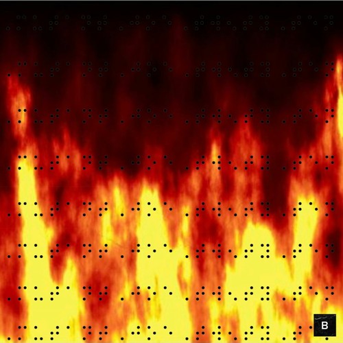 BRAILLED: MUTANT JOE 2010