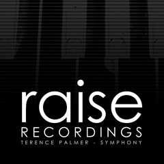 Terence Palmer - Symphony (Original Mix)