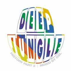 Deep Jungle Records - History Part 2 - Mixed by OSL