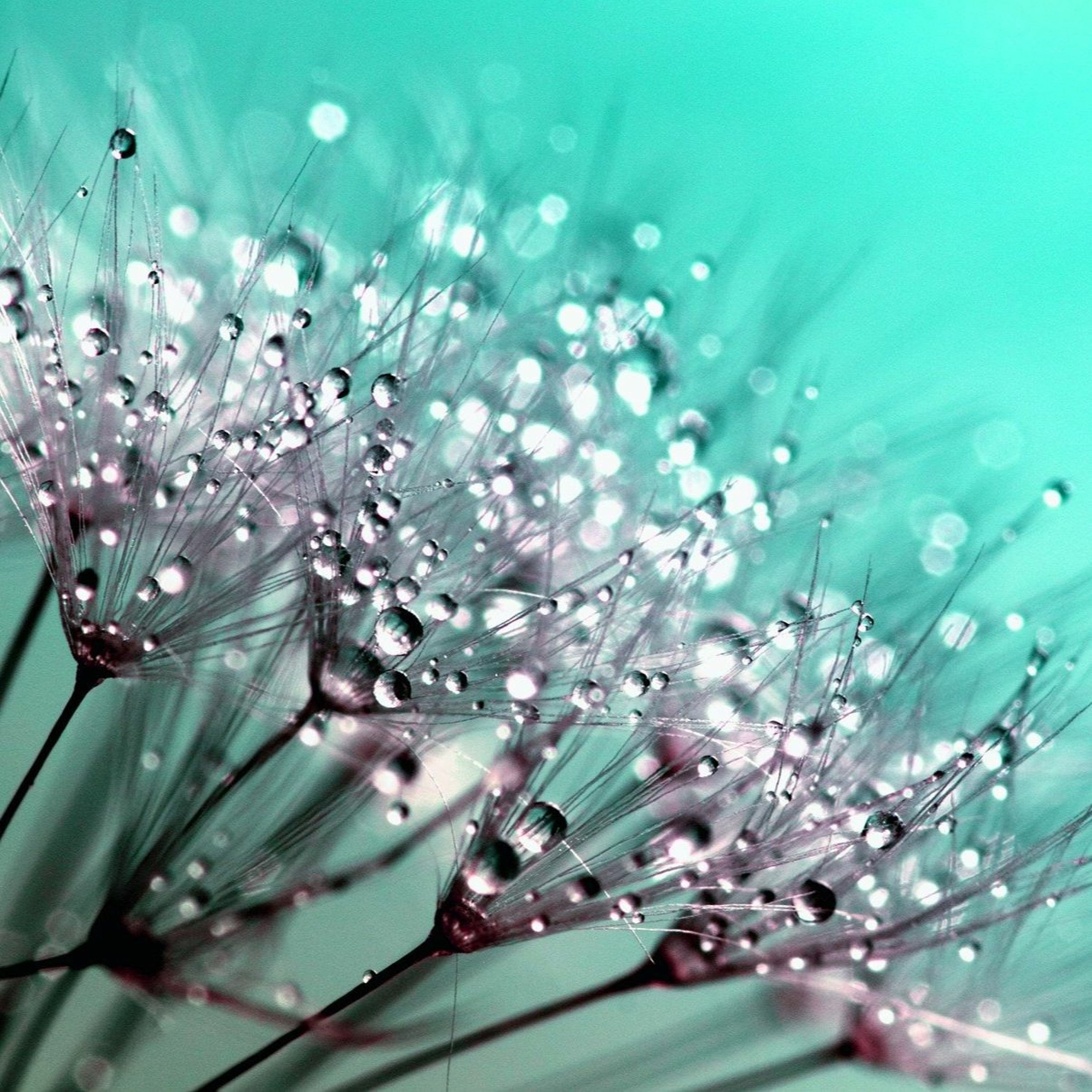 Inspirational Acoustic Romantic Story - Background Commercial Music episode artwork
