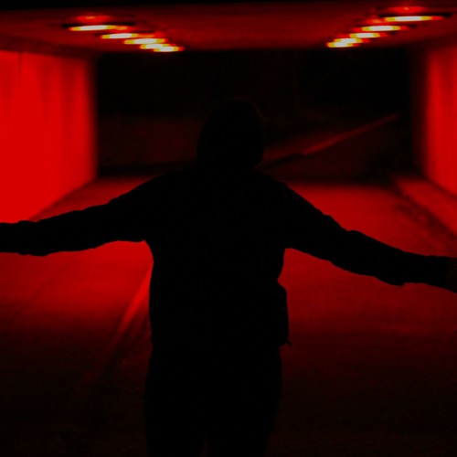 DSPSTN - '95 [OUT 29TH FEB]
