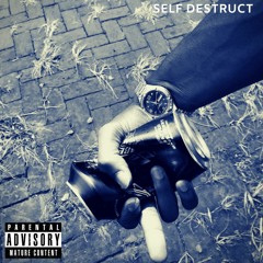 Noir Leon -Self Destruct