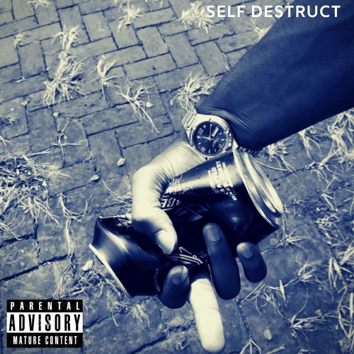 Noir Leon -Self Destruct