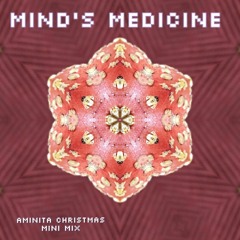 Aminita Christmas Mini Mix 2019