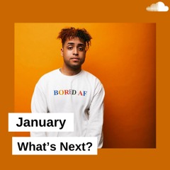 January: What's Next? (2020) | Playrnb.com
