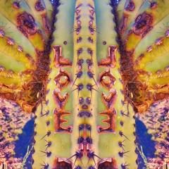 Desert Sunshine demo 9.12.18 1