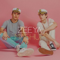 Need It (Zeeya Mashup) - Ship Wrek Mashup