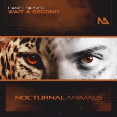 Daniel Skyver - Wait A Second - Nocturnal Animals - Out Now!