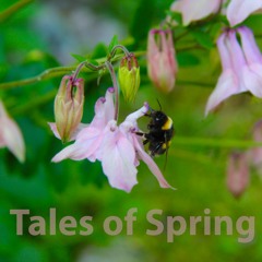 Tales Of Spring