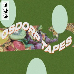 Osdorp Tapes @ Durma Dans Et III (recorded live)