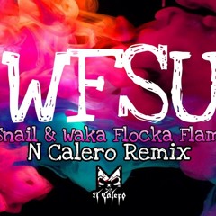 WFSU (NCalero remix)