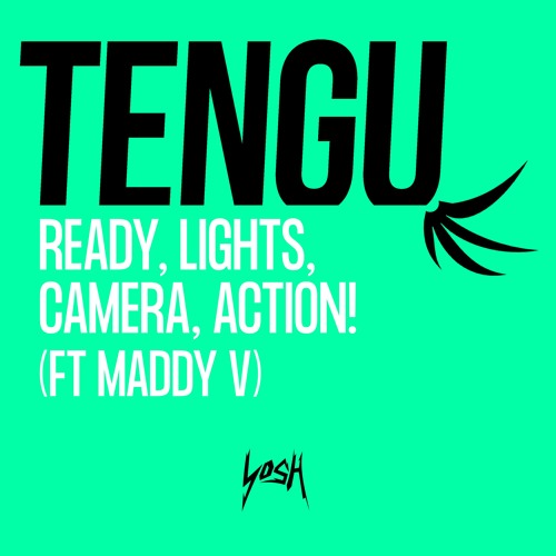 13. Ready, Lights, Camera, Action! (Ft Maddy V) [Preview] (Comin' In Tough)