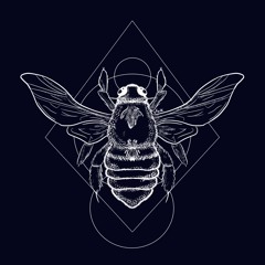 Tongues & Teeth- The Crane Wives (Cover)