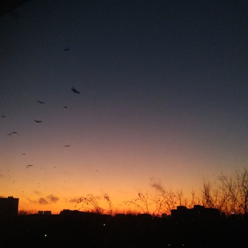 lovesong (the way).