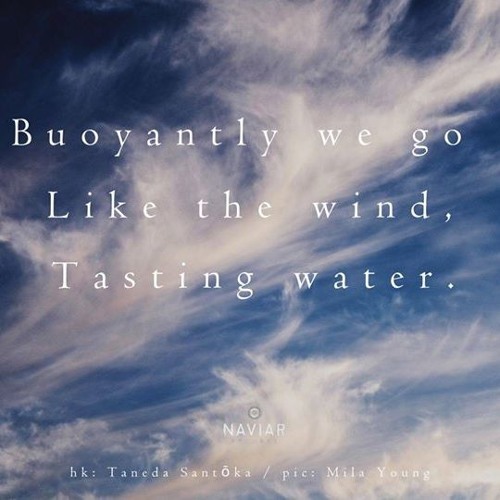 Like The Wind (Naviarhaiku314)