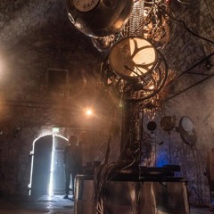 L'Electric Botanic 2018 rencontre avec Mixel Etxekopar